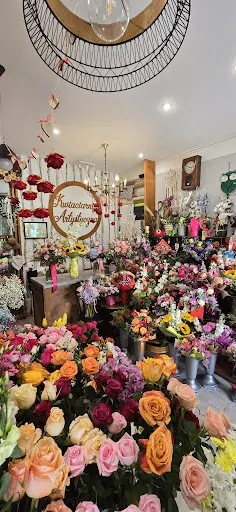 Kwiaciarnia Artystyczna Danuta